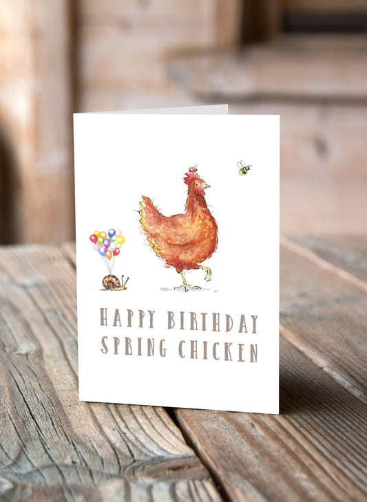 Birthday Chicken Card - Pack of 6