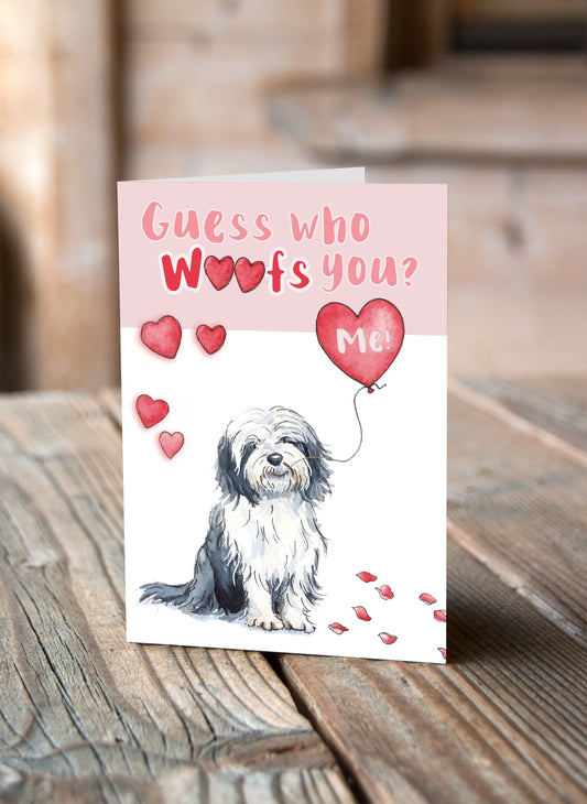 Bearded Collie Valentine's Card