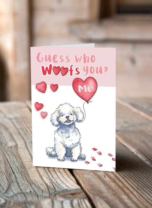 Bichon Frise Valentine's Card