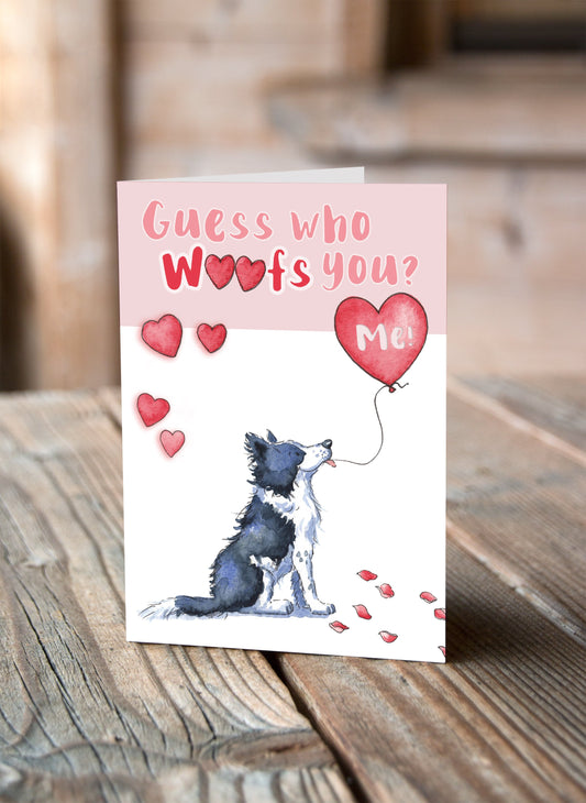 Border Collie Valentine's Card