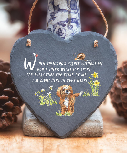 Cavapoo Red & White - When Tomorrow Starts - Slate Heart