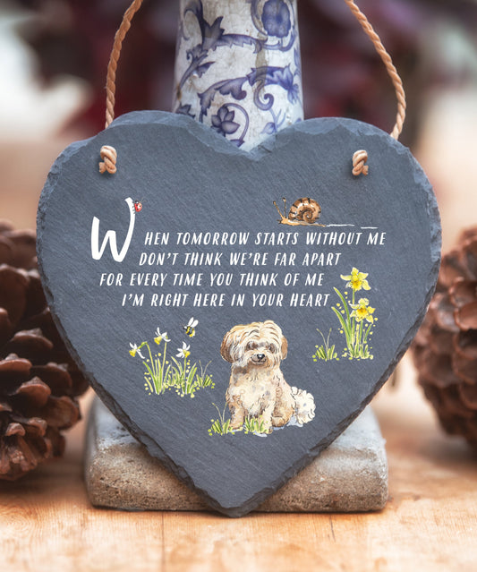 Havanese Fawn - When Tomorrow Starts - Slate Heart