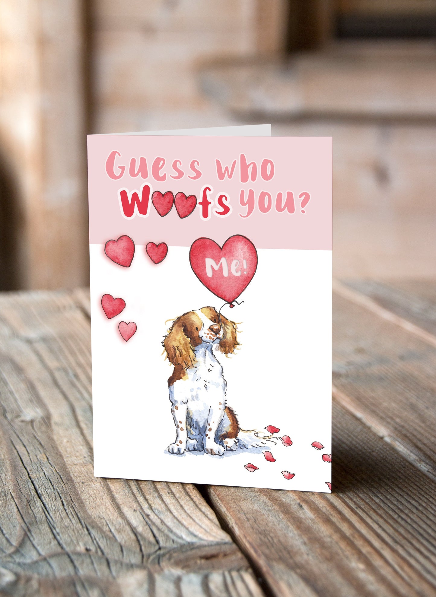 Springer Spaniel Valentine's Card