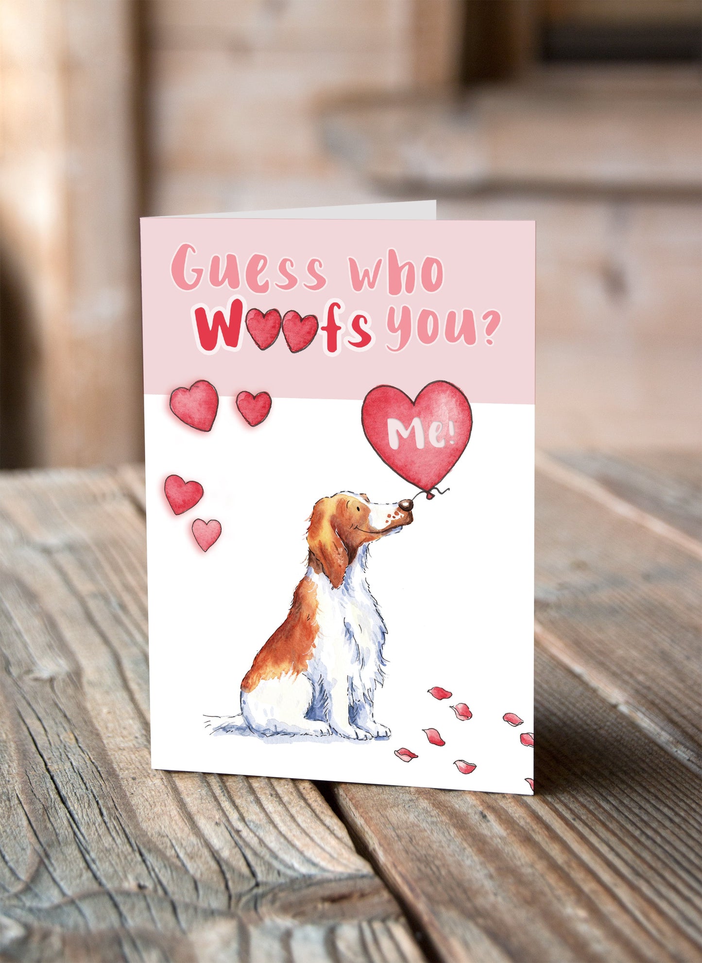 Welsh Springer Valentine's Card